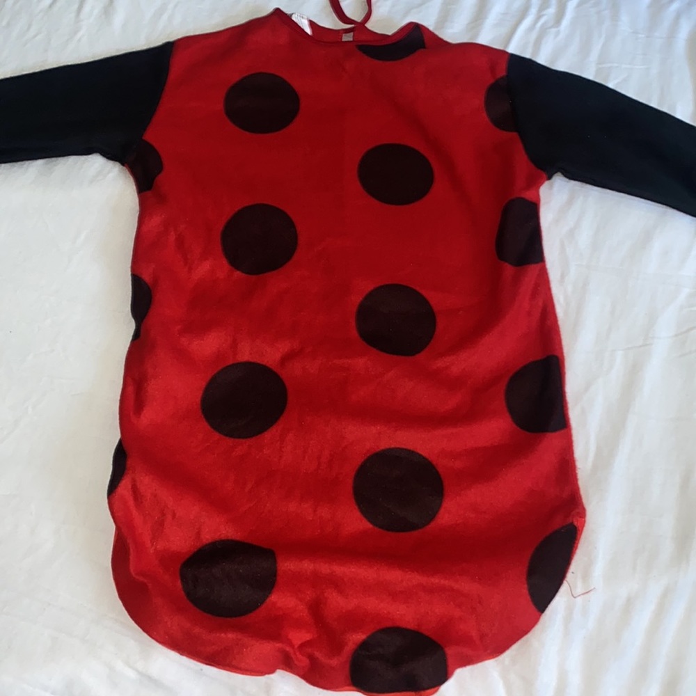 Baby lady bug costume